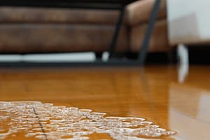 Read more about the article The Risks of DIY Water Cleanup