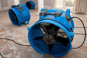 Read more about the article Top Tools Used in Water Mitigation Services